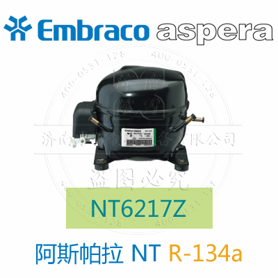 NT6217Z NT6217Z